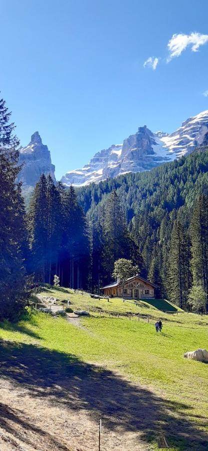 Chalet Brenta Dolomites Villa Madonna Exterior foto