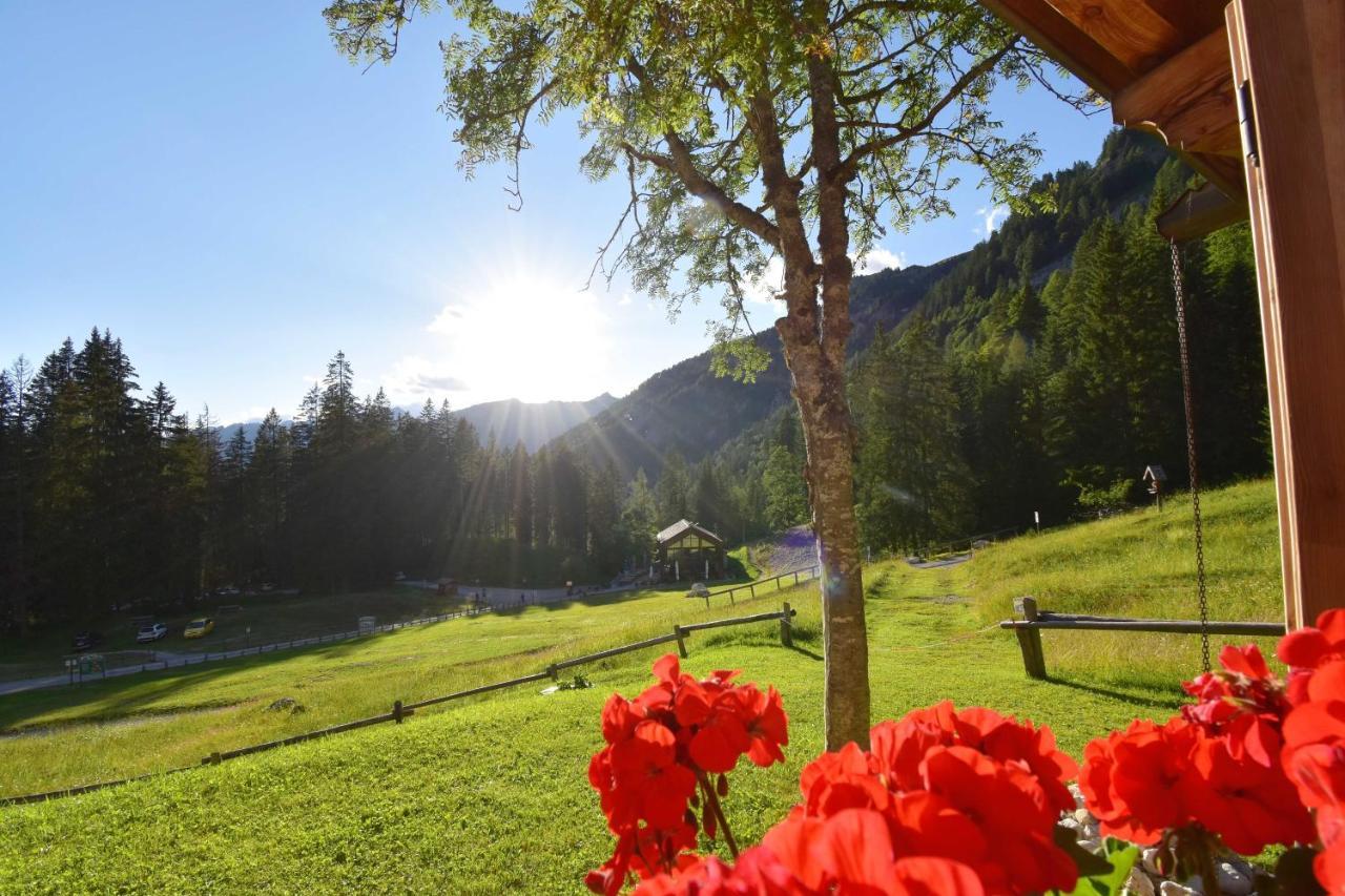 Chalet Brenta Dolomites Villa Madonna Exterior foto