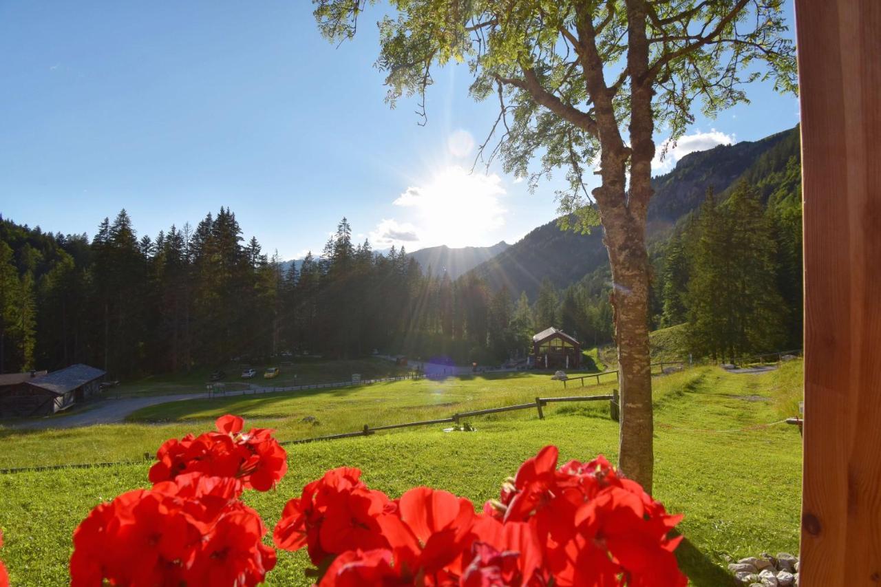 Chalet Brenta Dolomites Villa Madonna Exterior foto