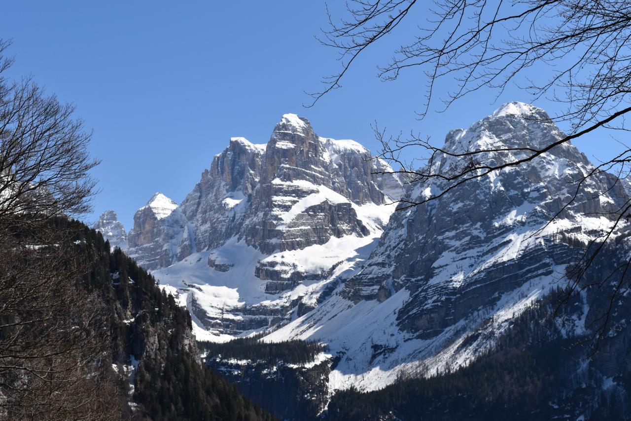 Chalet Brenta Dolomites Villa Madonna Exterior foto