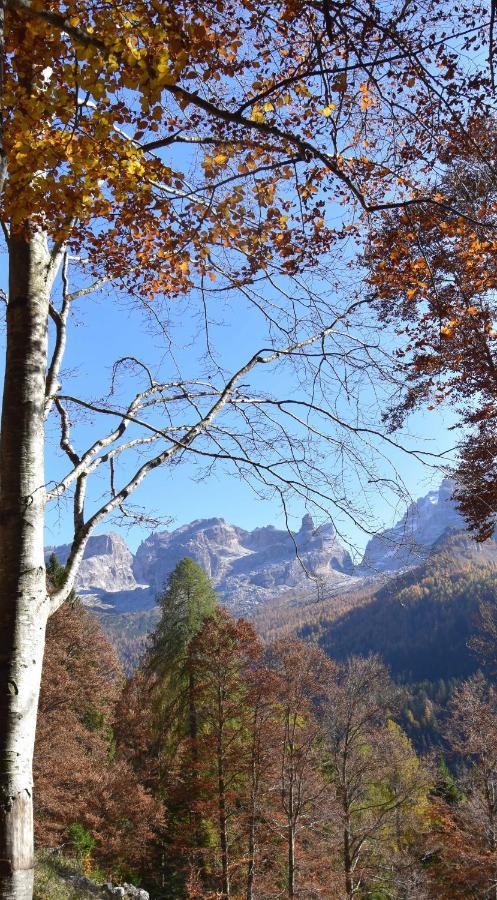 Chalet Brenta Dolomites Villa Madonna Exterior foto